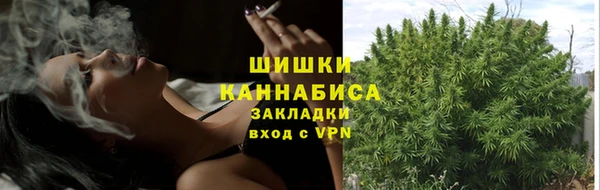 соль ск Балабаново