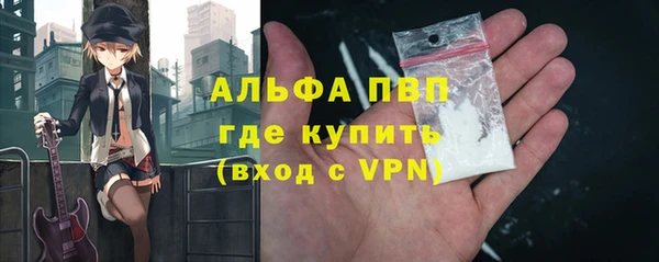 стафф Арсеньев