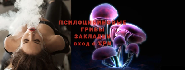 стафф Арсеньев