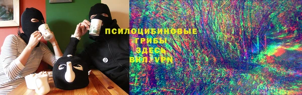 стафф Арсеньев