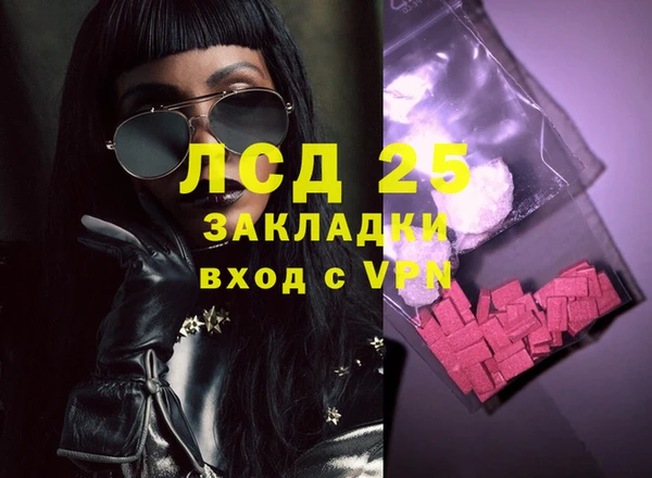 стафф Арсеньев