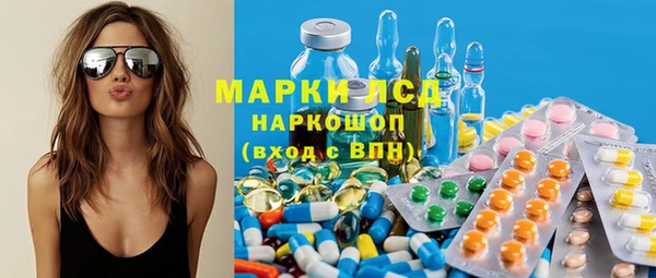 стафф Арсеньев