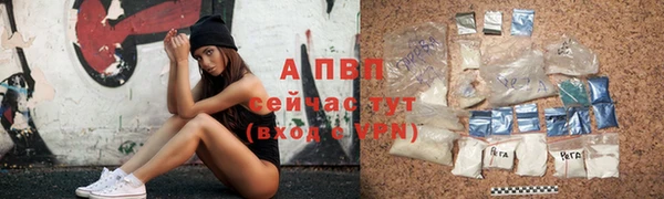 стафф Арсеньев